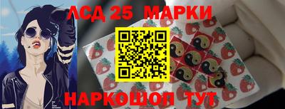 дмт Гатчина