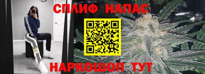 дмт Гатчина