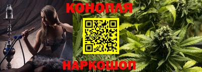 дмт Гатчина
