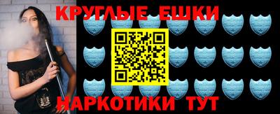 дмт Гатчина