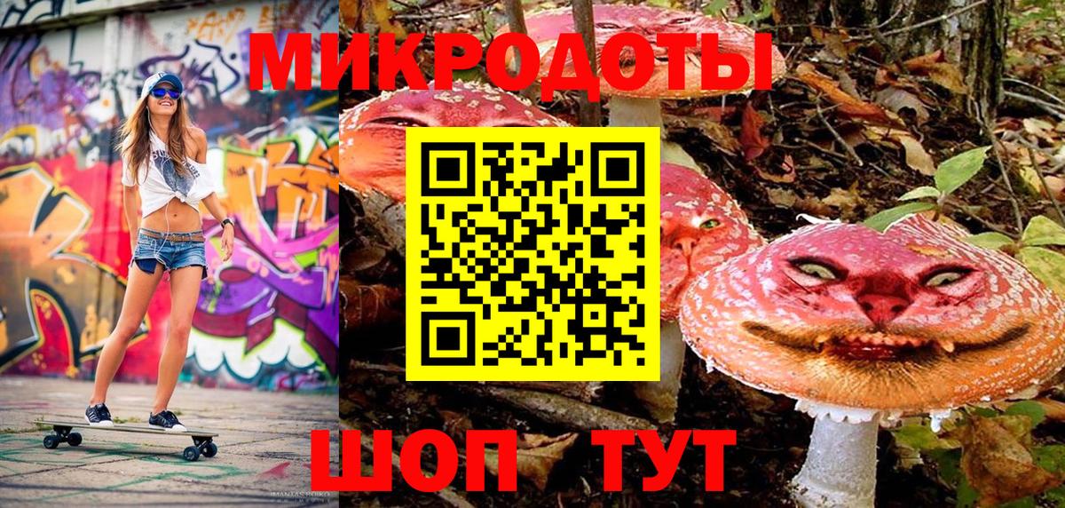 Галлюциногенные грибы Psilocybine cubensis Пермь